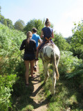 img-1440-1281412