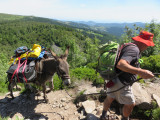 img-2136-1281413