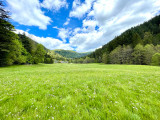 location ferme rénovée gerardmer xonrupt longemer gm038