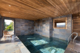 location vacances chalet 12 personnes gerardmer vosges piscine sauna GS067