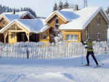 location vacances chalet gerardmer vosges piscine GE001 C816A