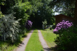 gs058-c975a-jardin-2-964335