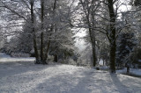 gs058-c975a-jardin-hiver-964336