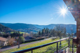 location vacances chalet liezey vosges gs086