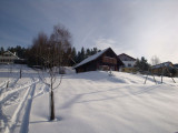 location vacances chalet vosges xonrupt longemer Gm028