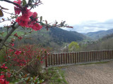 Maison 6 personnes - Le panorama bressaud - La Bresse Hautes Vosges