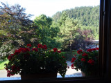 Maison mitoyenne 5 personnes - Les grangettes - La Bresse Hautes Vosges