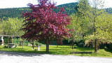 Maison mitoyenne La Bresse Hautes Vosges LR013