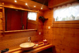Rez de chaussée - salle de bain attenante chambre parentale  - Chalet - Location de vacances - Bussang