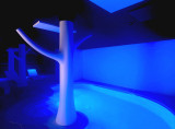 Spa les chênes blancs