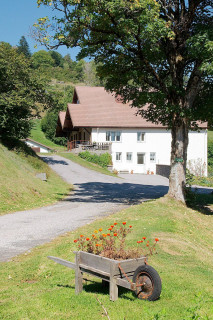 Appartement 8 personnes Edelweiss La Bresse Hautes Vosges