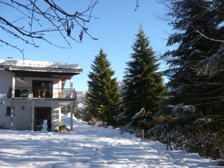  Appartement 4 personnes - Le Jardin des Brimbelles - Terrasse et jardin, à deux pas du domaine skiable - La Bresse Hautes Vosges