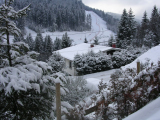 Appartement 6 personnes - Le Nid des Brimbelles - Confort à la montagne, entre nature et domaine skiable - La Bresse Hautes Vosges