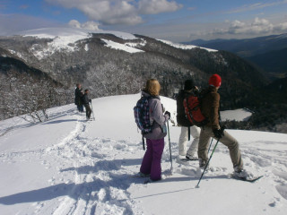 balade-apres-midi-204177-490146-503003-510887-533576