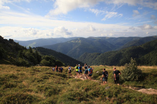 Sortie privée -Chamois , randonnée decouverte - Gambaladons - La Bresse Hautes Vosges