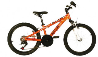 vtt-20-pouces-185702