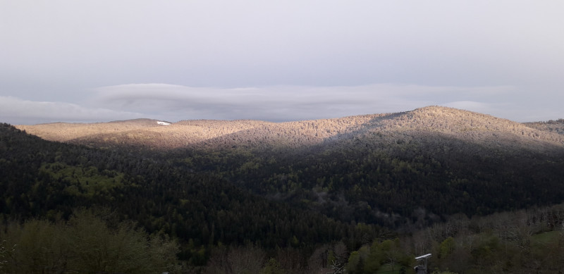 Chalet LB005 Cornimont Hautes Vosges