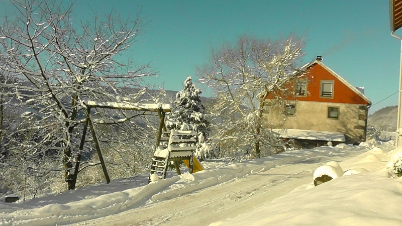 Appartement 4 pers Les jonquilles Basse sur le Rupt Hautes Vosges