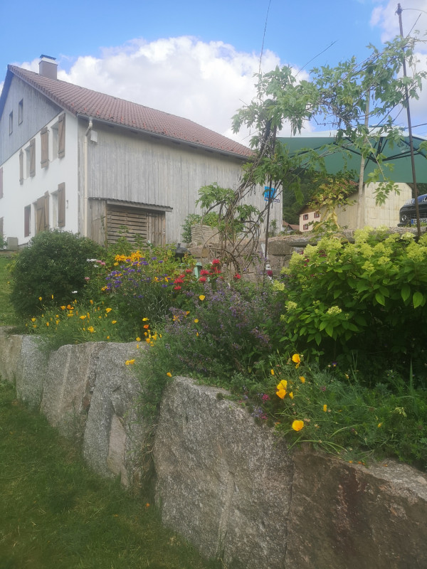 Appartement - Location La Bresse Hautes-Vosges La cabane de Tiki 6 personnes