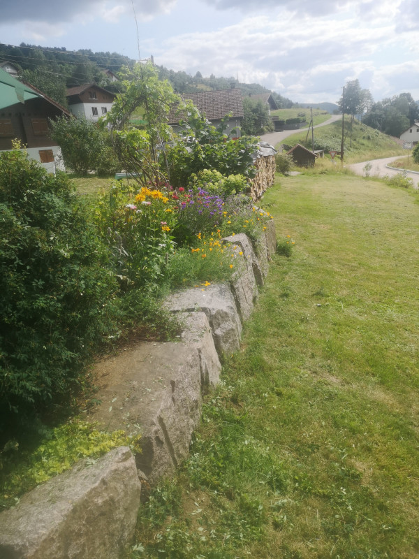 Appartement - Location La Bresse Hautes-Vosges La cabane de Tiki 6 personnes