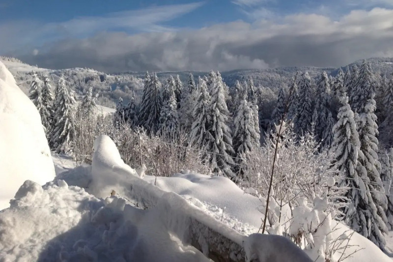 Chalet 6 personnes - Les Champis - Sauna et vue sur les montagnes - la Bresse Hautes Vosges