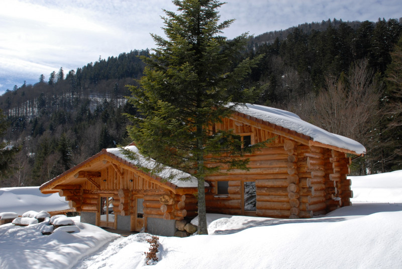 Chalet Brimbelles Le Couaroge La Bresse