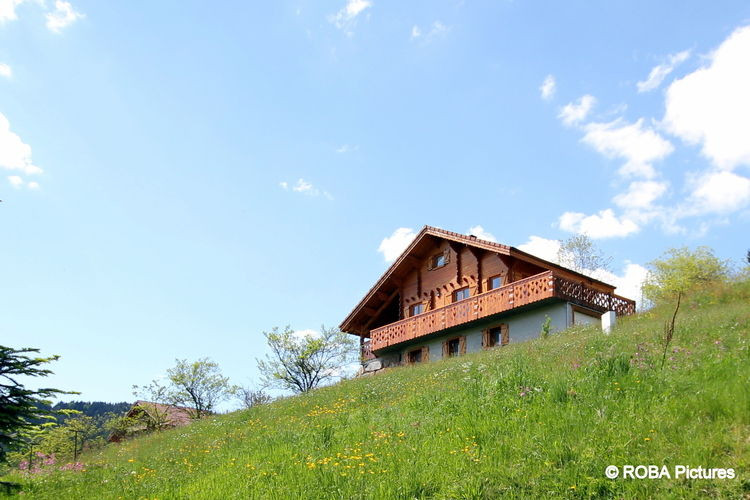 Chalet LM014 La Bresse
