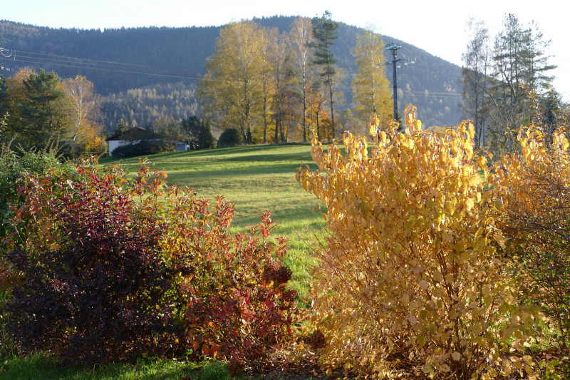 Chalet sous le théatre - Location de vacances - Bussang-292668 Chalet sous le théatre - Location de vacances - Bussang-292668