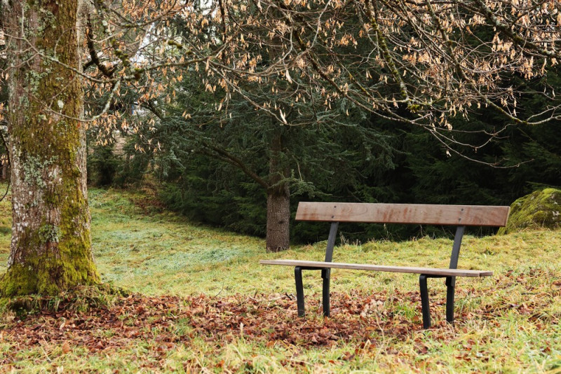 gi006-banc-automne-1451383 gi006-banc-automne-1451383