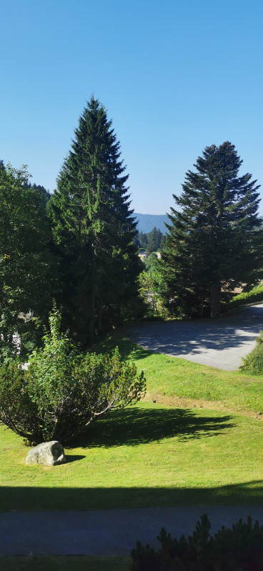 img-20250811-094915-686907