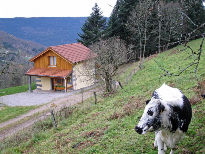 Maison 4 personnes - Chez Grand Mere La Bresse Hautes Vosges - Saulxures