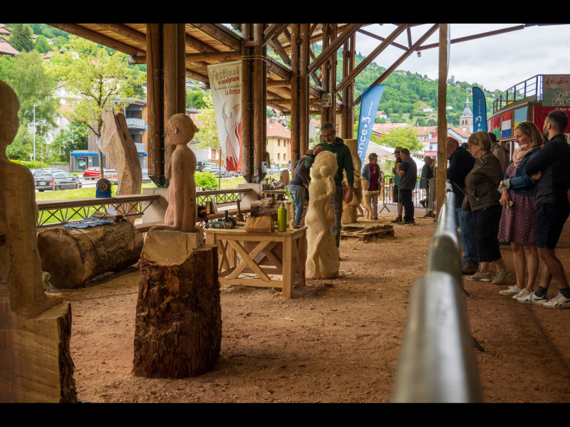 festival-sculpture-camille-claudel-la-bresse-5